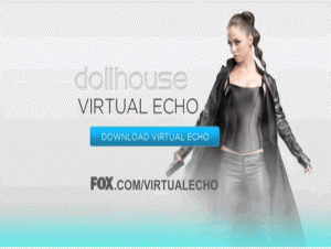 Virtual Echo